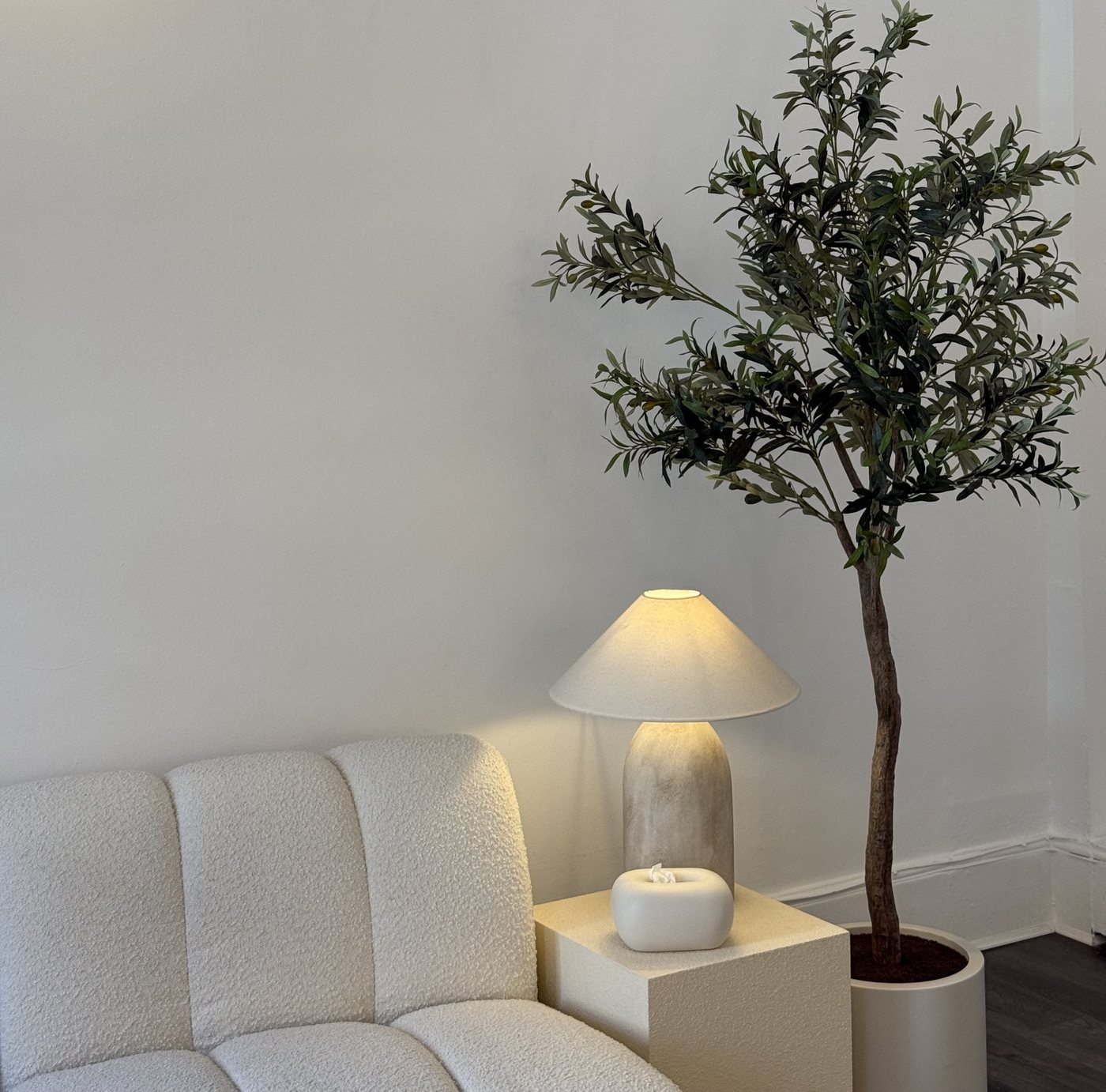 Clinic waiting area with an olive tree, boucle seating and warm lamp light