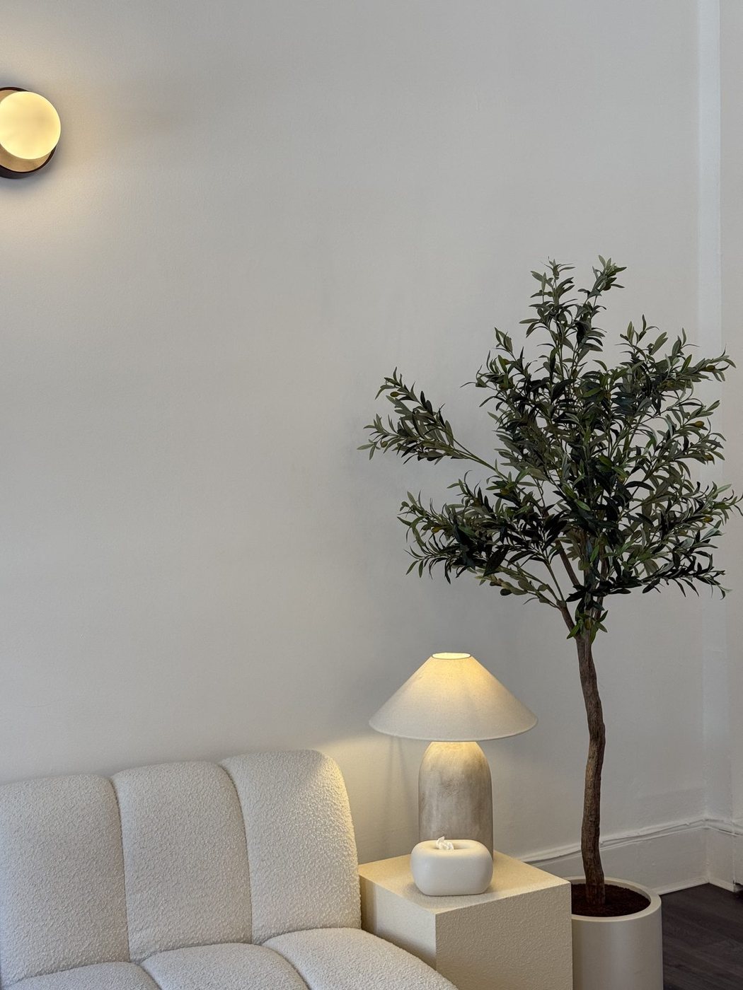 Clinic waiting area with an olive tree and warm lamp light