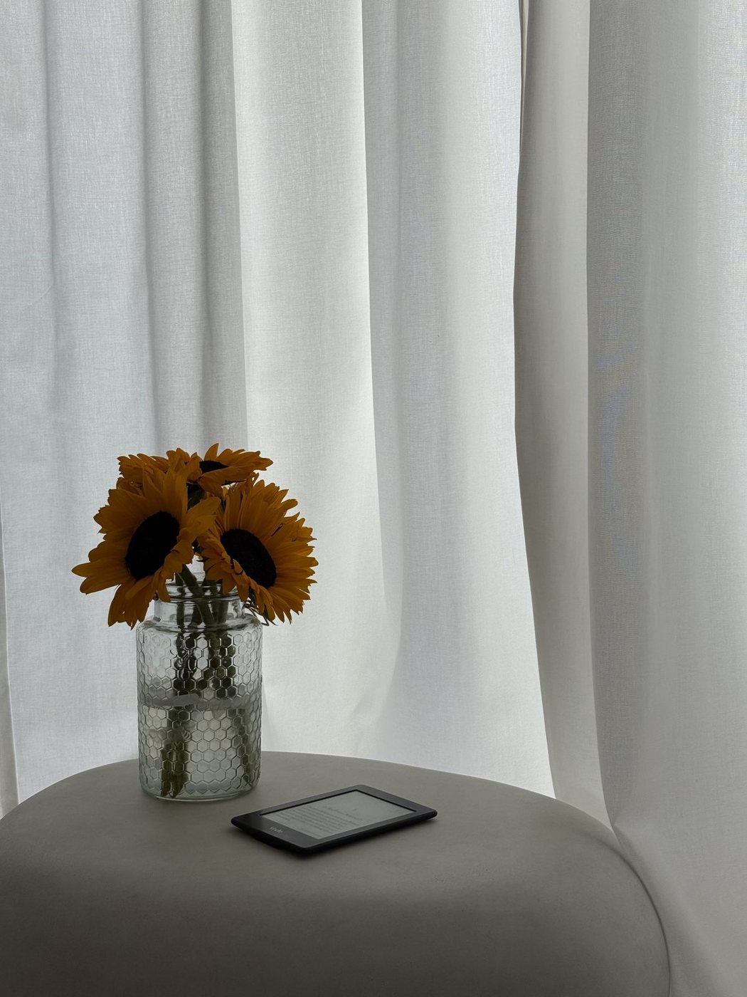 Sunflowers in a glass jar in soft window light